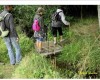 il suffit de passer le pont !